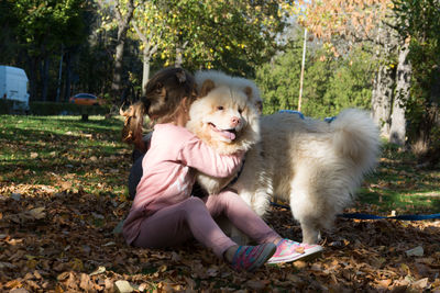 View of dog playing with ball in background