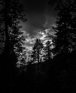 Low angle view of silhouette trees in forest against sky