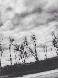 Bare trees on field against sky