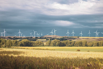 Windmills on field against sky