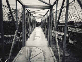 Bridge amidst trees