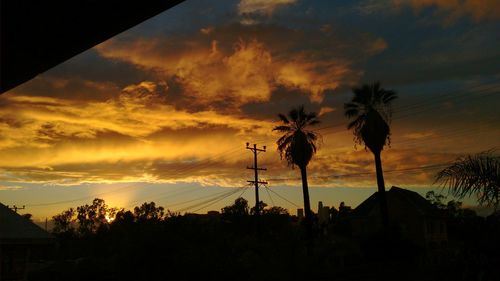 Silhouette trees against dramatic sky during sunset