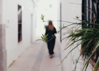 Woman walking on plant against building