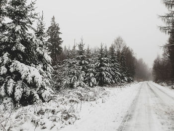 Snow covered road amidst trees against sky