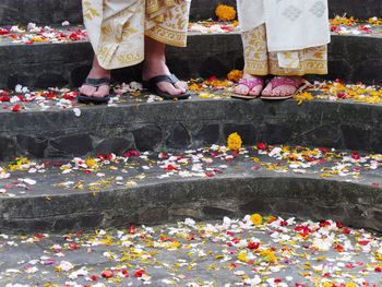 Low section of people standing by multi colored flowers