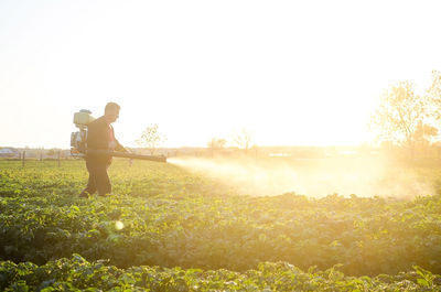 A farmer sprays a solution of copper sulfate on plants of potato bushes. agriculture 