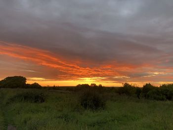 Scenic view of field against sky during sunset