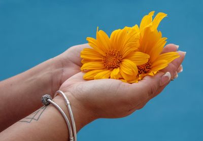 Close-up of woman hand against yellow flower against blue sky