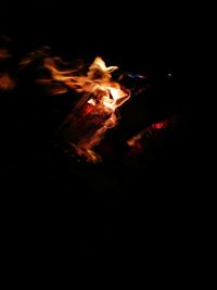 Close-up of fire in the dark