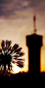 Silhouette palm trees against scenic sky