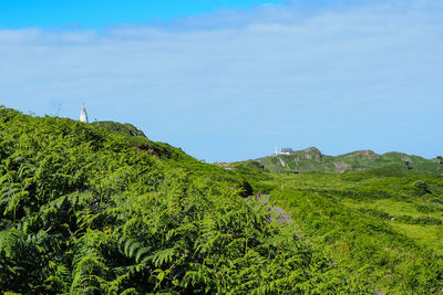 Scenic view of green landscape against sky