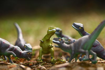 Close-up of toys on grassy field