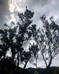 Low angle view of silhouette trees against sky