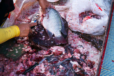 High angle view of fish in market