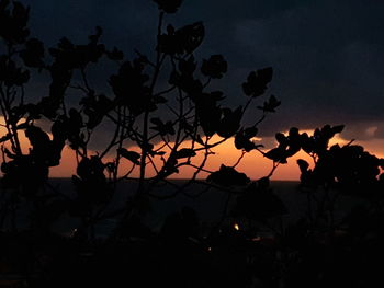 Low angle view of silhouette tree against sky at sunset