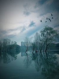 Birds flying over lake against sky