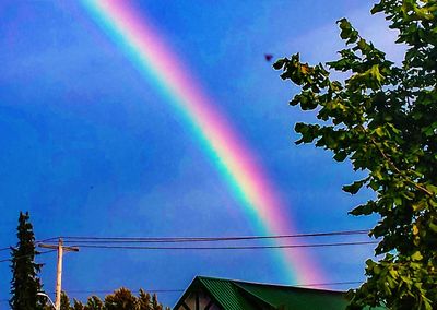 Low angle view of rainbow over trees