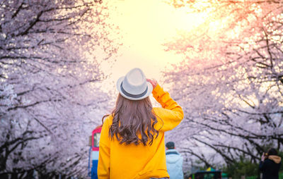 Rear view of woman wearing hat standing against trees