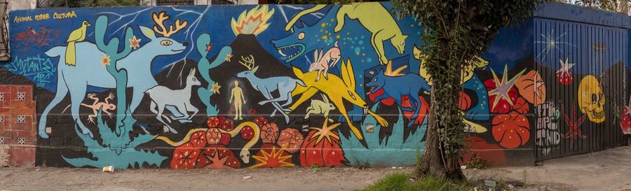 Graffiti on wall