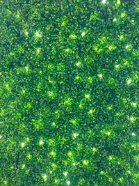 Full frame shot of tree