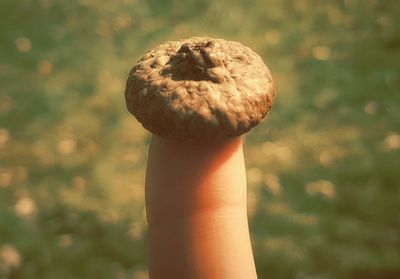 Close-up of hand holding ice cream