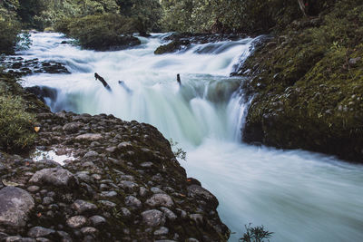 Scenic view of waterfall in forest