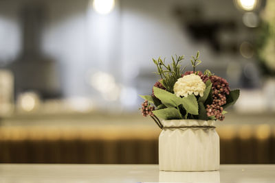 Close-up of potted plant on table