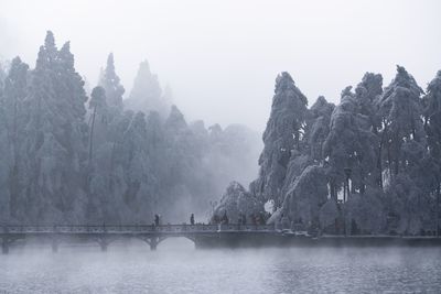 Panoramic view of lake and trees against sky