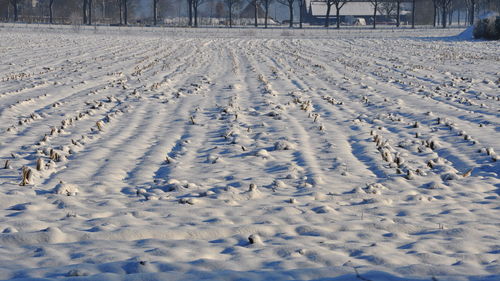 Tire tracks on snow covered field