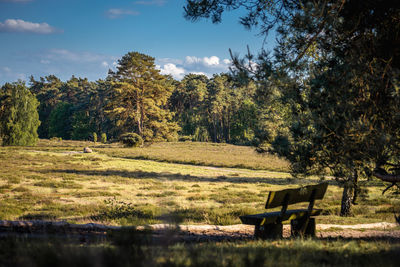 Trees on field against sky