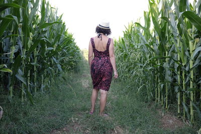 Rear view of woman standing on field amidst cereal plants