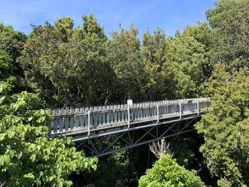 The bridge in to nature 