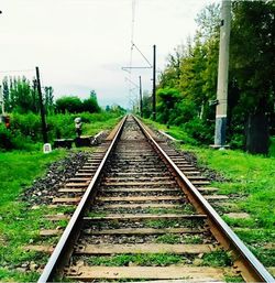 Railroad track passing through trees