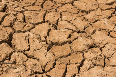 Close-up of cracked land