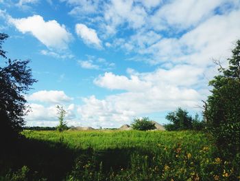 Scenic view of field against cloudy sky