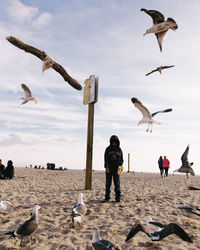 Flock of birds flying against sky