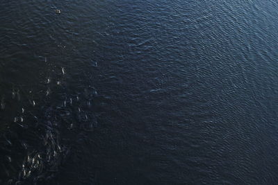 Full frame shot of rippled water