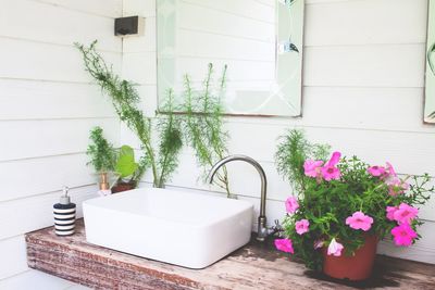 Potted plant on bathroom sink