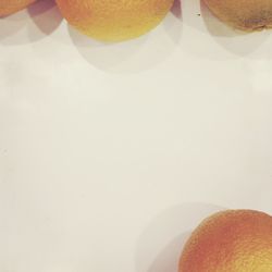 Close-up of food over white background