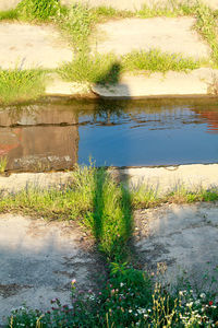 Scenic view of lake