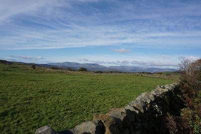 Scenic view of field against sky