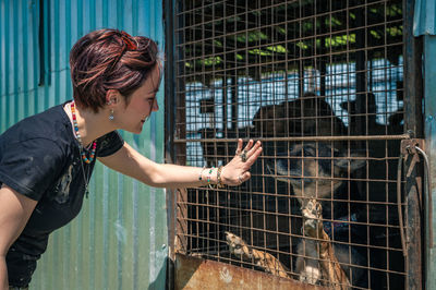 Dog at the shelter.  lonely dogs in cage with cheerful woman volunteer