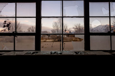 View of trees seen through window during winter