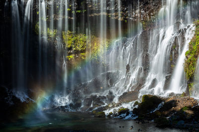 Scenic view of waterfall in forest