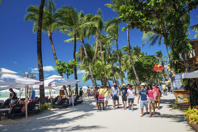 People by palm trees on beach against sky in city