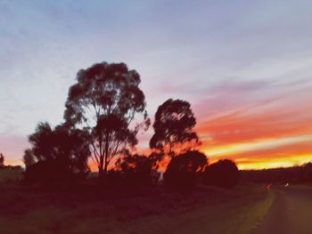 Trees on landscape against sky at sunset