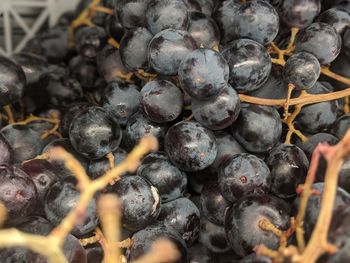 Full frame shot of blueberries