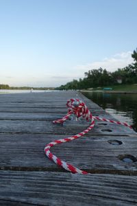 Close-up of plant against lake against sky