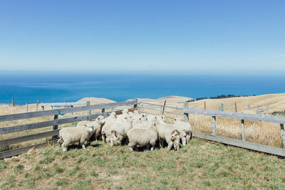Scenic view of sea against clear blue sky