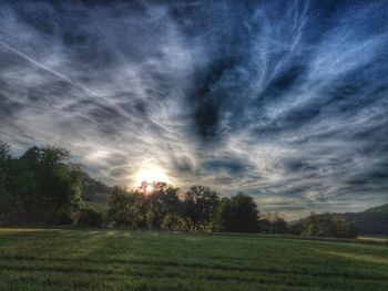 Scenic view of grassy field against sky